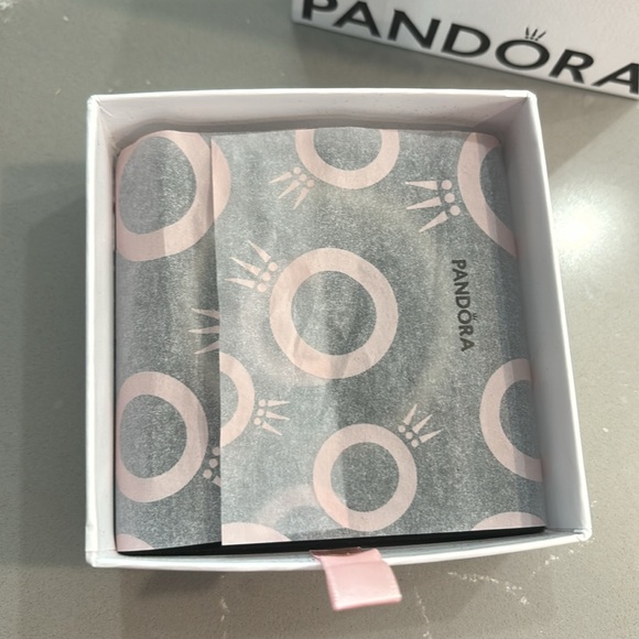 Pandora Charm Bracelet - Bracelet only - Picture 3 of 6